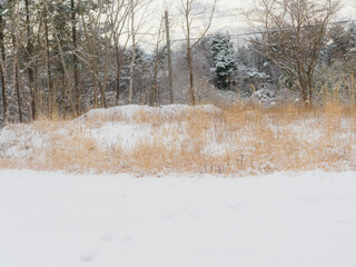 空き地に積もった雪