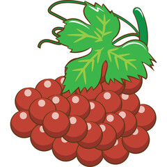 Bunch of Red Grapes with Green Leaf and Vine on a Transparent Background