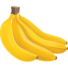Bunch of ripe yellow bananas with brown stems isolated on a white background representing healthy food and tropical fruit for nutrition and sweetness