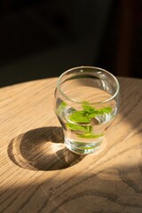 Fresh Detox Water and Fruit Juice – Healthy Drinks for Body Cleansing, High Quality Images of Detox Drinks – Organic Wellness and Nutrition Concept
