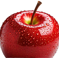 Close-up of a vibrant red fruit covered in glistening water droplets