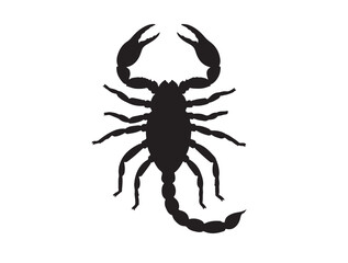 Asian Forest Scorpion icon top view in silhouette white background.