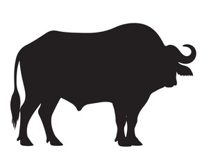  Banni buffalo in silhouette white background.