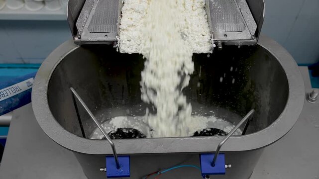 Making traditional cheeses. Industrial process