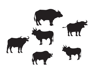 Cows and Buffalo  group image in silhouette white background.