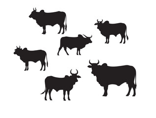 Cows types in silhouette group image.
