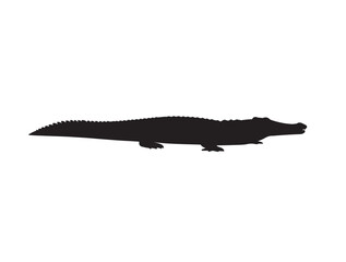 Crocodile side view in silhouette.