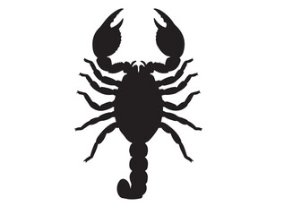 Emperor Scorpion icon top view in silhouette white background. with out reflect.