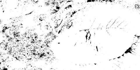 Vector Dirt dust isolated on white background and texture top view. Grunge texture Distressed Effect. Grungy Background textured effect. Black and white Dust overlay paint, stroke, ink.