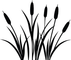 Marsh plant cattail silhouette graphic