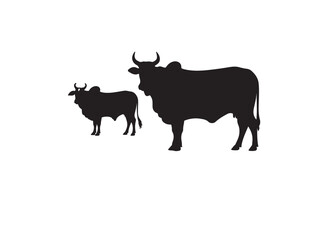 Ongole cow in silhouette white background.