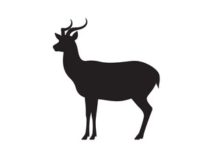  Pampas Deer in silhouette white background.