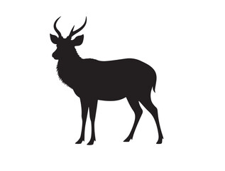 Ray Sambar Deer in silhouette white background.