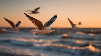 Fototapeta premium Seagulls Flying Above Ocean Waves at Sunset
