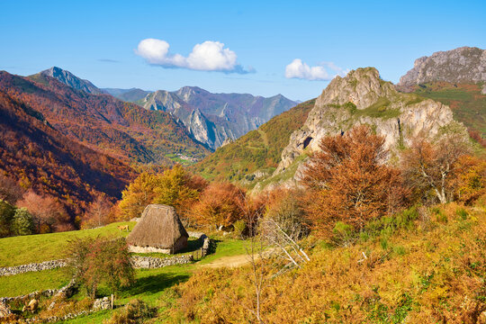 BRA&Ntilde;A DE FUEXU SOMIEDO ASTURIAS