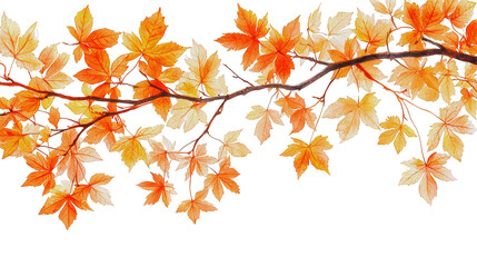 Vibrant autumn maple branch with colorful leaves creating joyful seasonal display