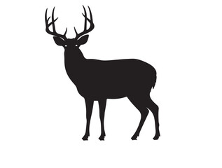 Obraz premium White-tailed Deer in silhouette white background.