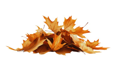 Vibrant autumn maple leaf mound presents cheerful and colorful fall season