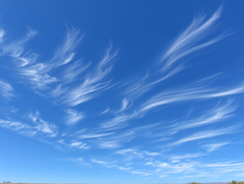 美麗! 高精細 プリント 写真 「青空へ・・・。」 美麗! 高精細 プリント 写真 「青空へ・・・。」