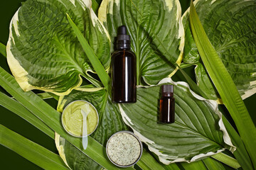 Cosmetic bottles, green leaves and organic skincare ingredients. Eco purity, relaxation and sustainable wellness aesthetics. Cosmetic face serum, essential oil and dry shampoo for hair, natural beauty