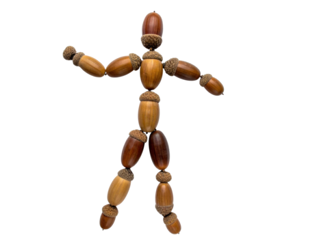 The image features a figure creatively constructed from various acorns and nuts, resembling a human form in a playful arrangement.