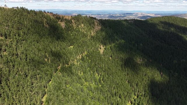 Scenic Hills and Pine Forest of Zlatibor Mountain in Serbia on Sunny Summer Day, Drone Aerial View