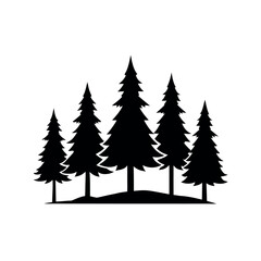 Obraz premium Forest of pine trees row silhouette
