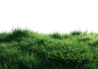 Lush green grass against a dark void