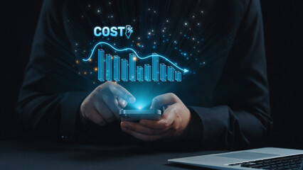 Cost reduction and cost saving through digital transformation, business cost optimization,...