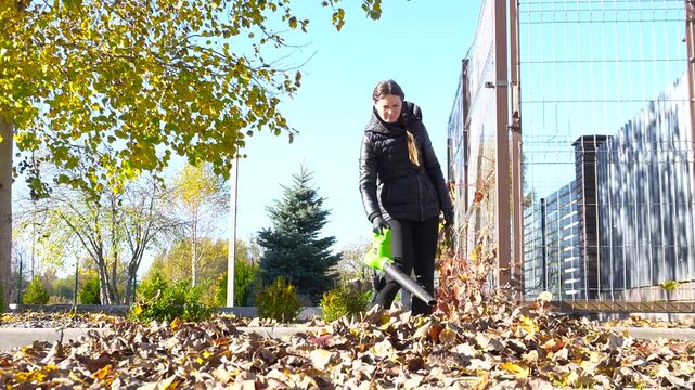 Autumn leaf raking. A woman blows away piles of leaves with a leaf blower.