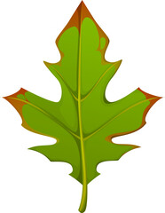 Cartoon autumn fall season leaf. Vector bright green natural fallen tree foliage with brown spots, veins and natural texture. Isolated autumnal forest plant, symbol of seasonal fall change and nature