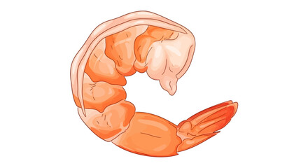 Close-up illustration of a cooked shrimp, showing its curved body and orange color.