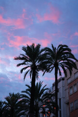 Palm trees under glowing pink and blue sunset sky vertical