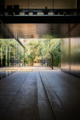 Modern building passage with reflective surfaces and greenery in sunlight vertical