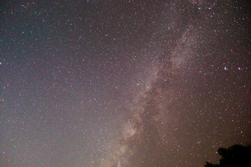A clear night sky reveals the spectacular band of our own galaxy.