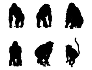 Silhouette set of gorilla and monkey figures in black, perfect for design and creative projects