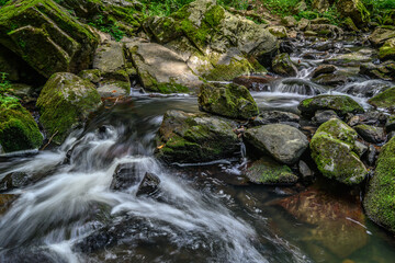 The picture shows a stream running through a forest that is filled with rocks and moss-covered boulders.
Water flows over the rocks, creating smaller cascades, which is typical of mountain streams.