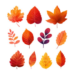 Fototapeta premium Autumn Leaves: A vibrant collection of stylized autumn leaves showcasing a medley of warm colors, from fiery reds to mellow yellows, illustrating the season's beautiful transition.