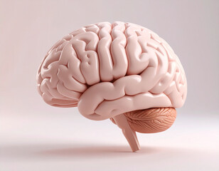 The Human Brain: Cognition, Intelligence, and Neuroscience