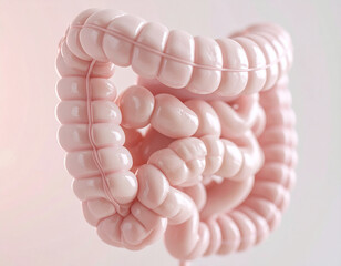 Exploring the Human Gut: From Digestion to Disease