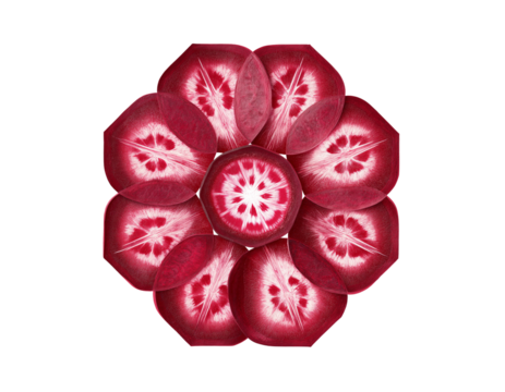  stylized graphic of slices of red beets arranged in the shape of an octagon on a white background. 