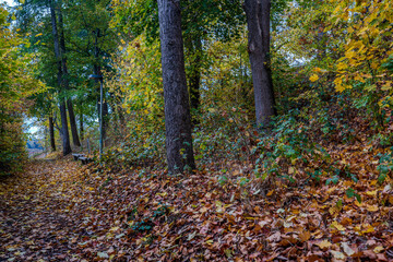 Herbstlicher Waldweg mit buntem Laub in der Natur w&auml;hrend des Tages