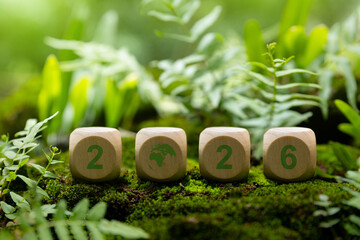 Wooden cube 2026 in forest.