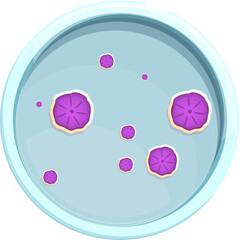 Microscopic Mold Fungus Colonies Growing In A Petri Dish With Purple Color On A Transparent Background And Light Blue Agar Medium Detailed Scientific Illustration