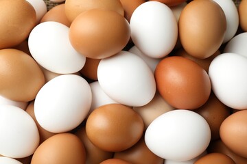 Many raw chicken eggs as background, closeup