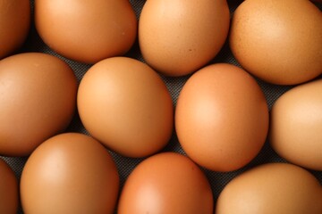 Many raw chicken eggs on table, top view