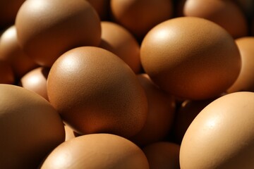 Many raw chicken eggs as background, closeup