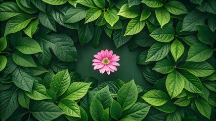 Naklejka premium Green leaves surrounding pink flowers, a green leaf border, Fresh green foliage forms a natural spring border, great for garden design or a colorful nature frame