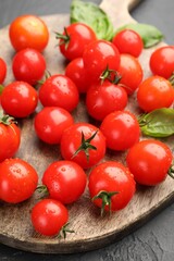 Fresh ripe tomatoes and basil on grey textured table, closeup