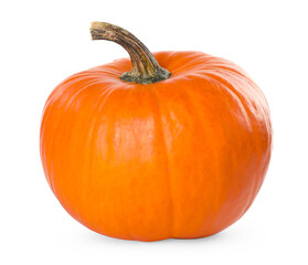 One whole ripe pumpkin isolated on white